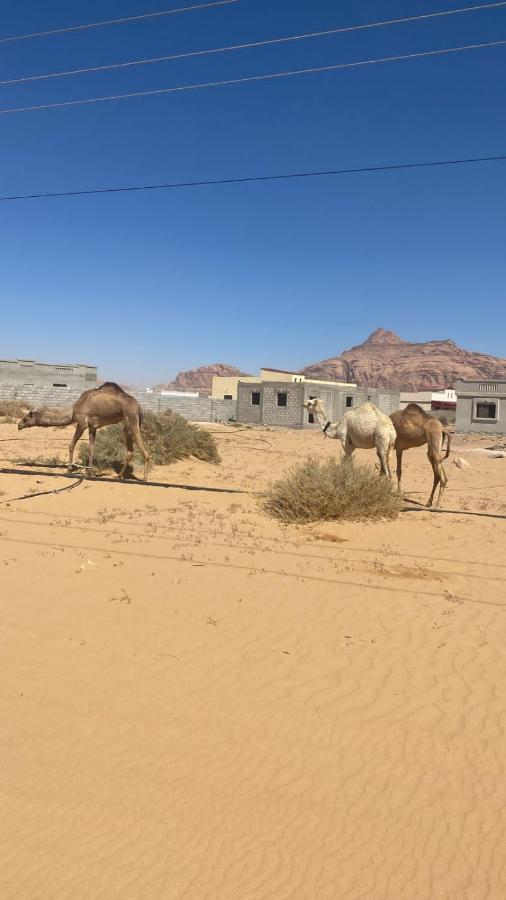 Wadi Rum Albasli Exterior foto